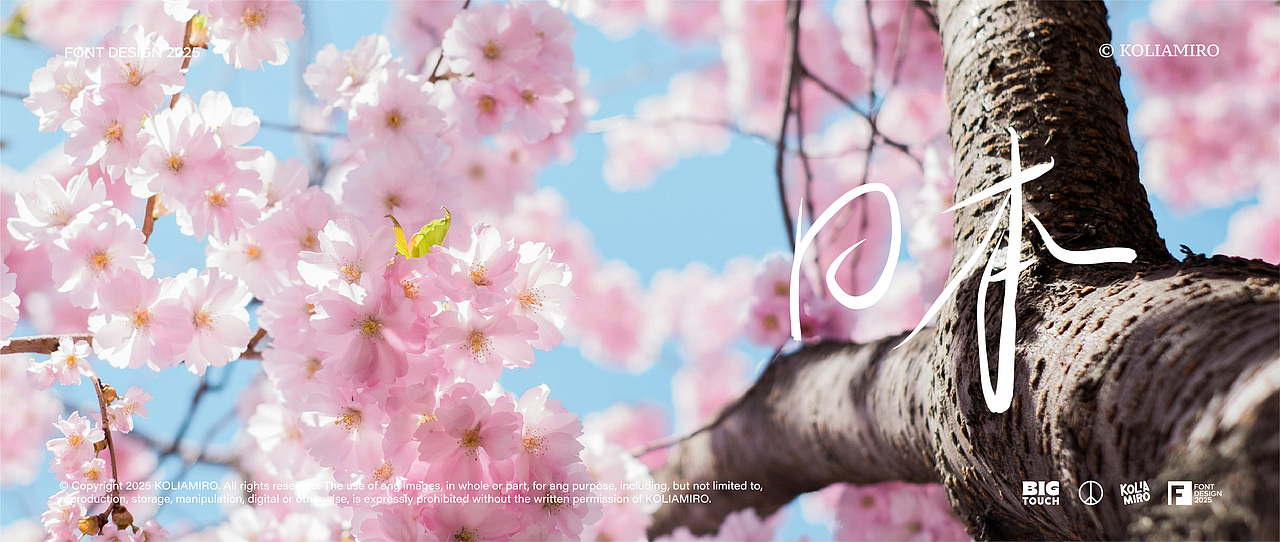 电影感线条字体设计2025-01