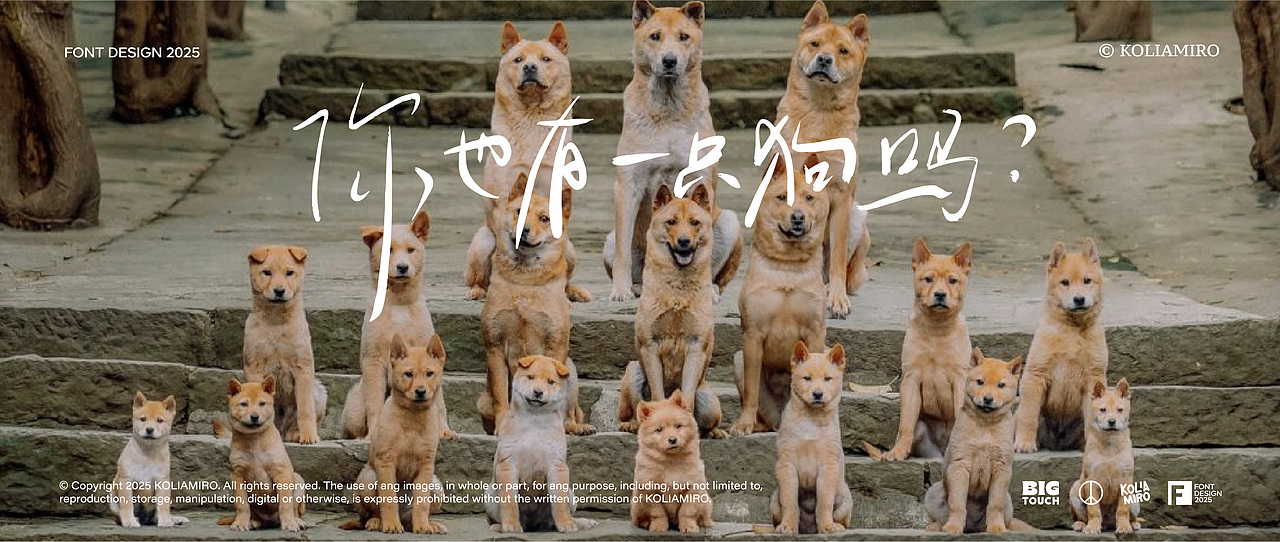 电影感线条字体设计2025-01