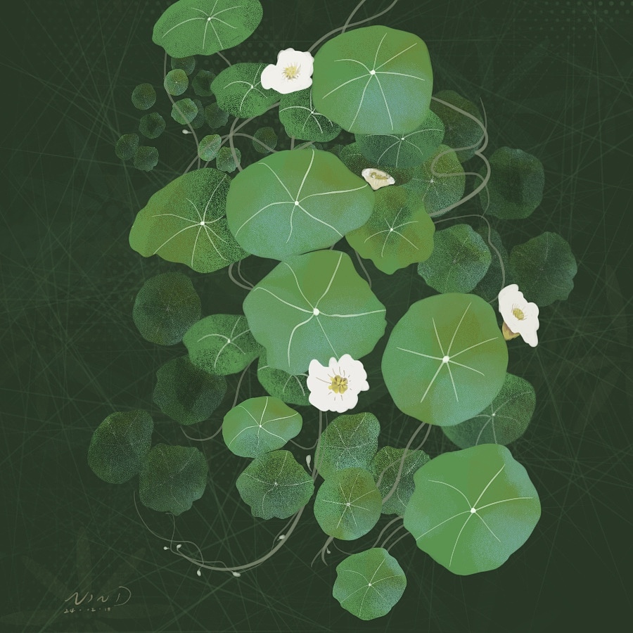 12～1月速涂（图ZMzg0NTM5MTg4） - 创作习作 - 站酷设计师妮娜插画原创素材 - 站酷ZCOOL