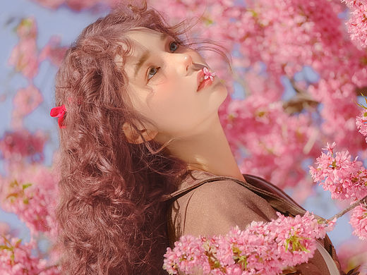 樱花树下的公主