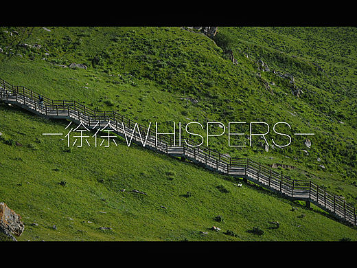 〔徐徐 WHISPERS〕绿色那拉提🟢