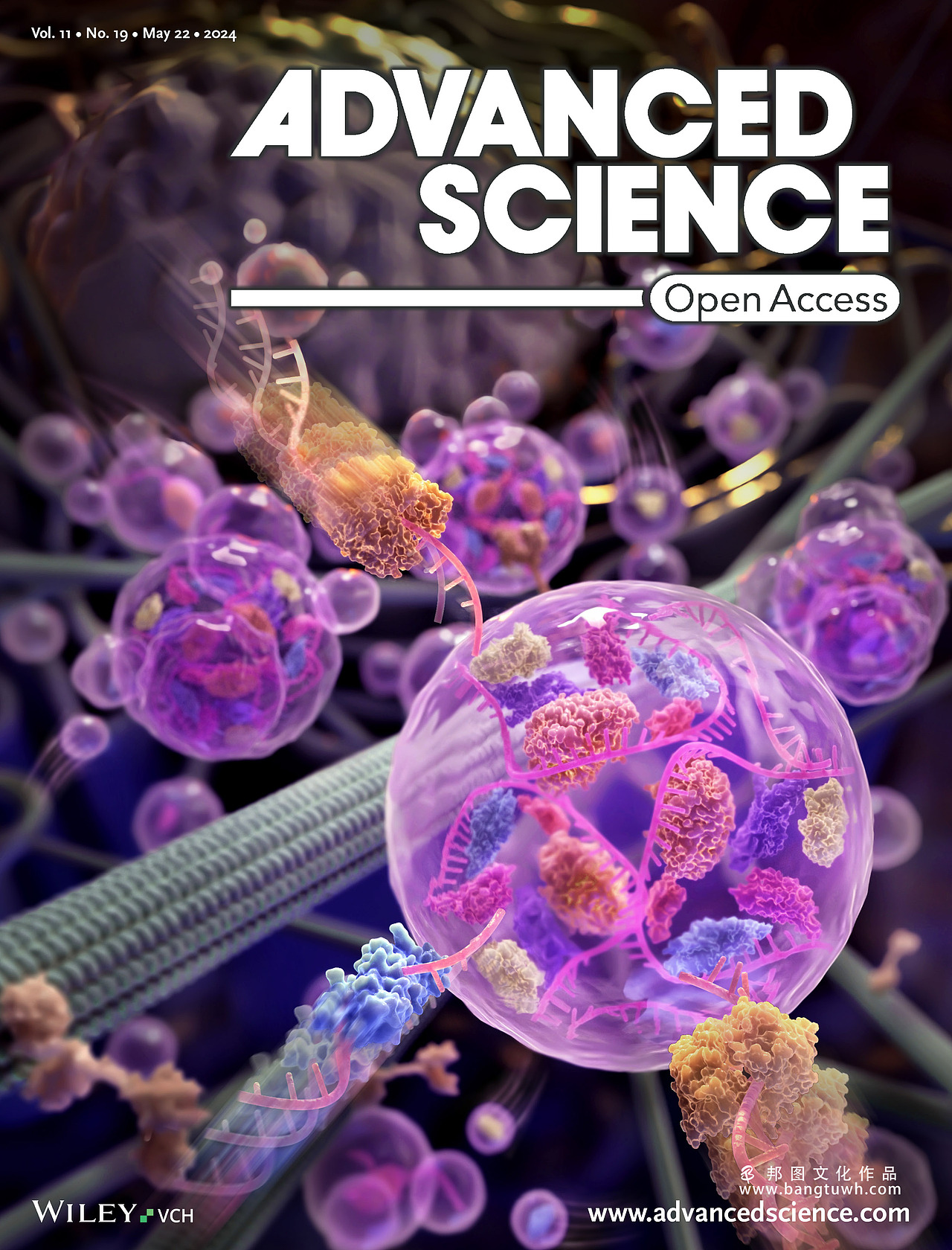 Advanced Science杂志封面汇总展示_邦图文化-站酷ZCOOL