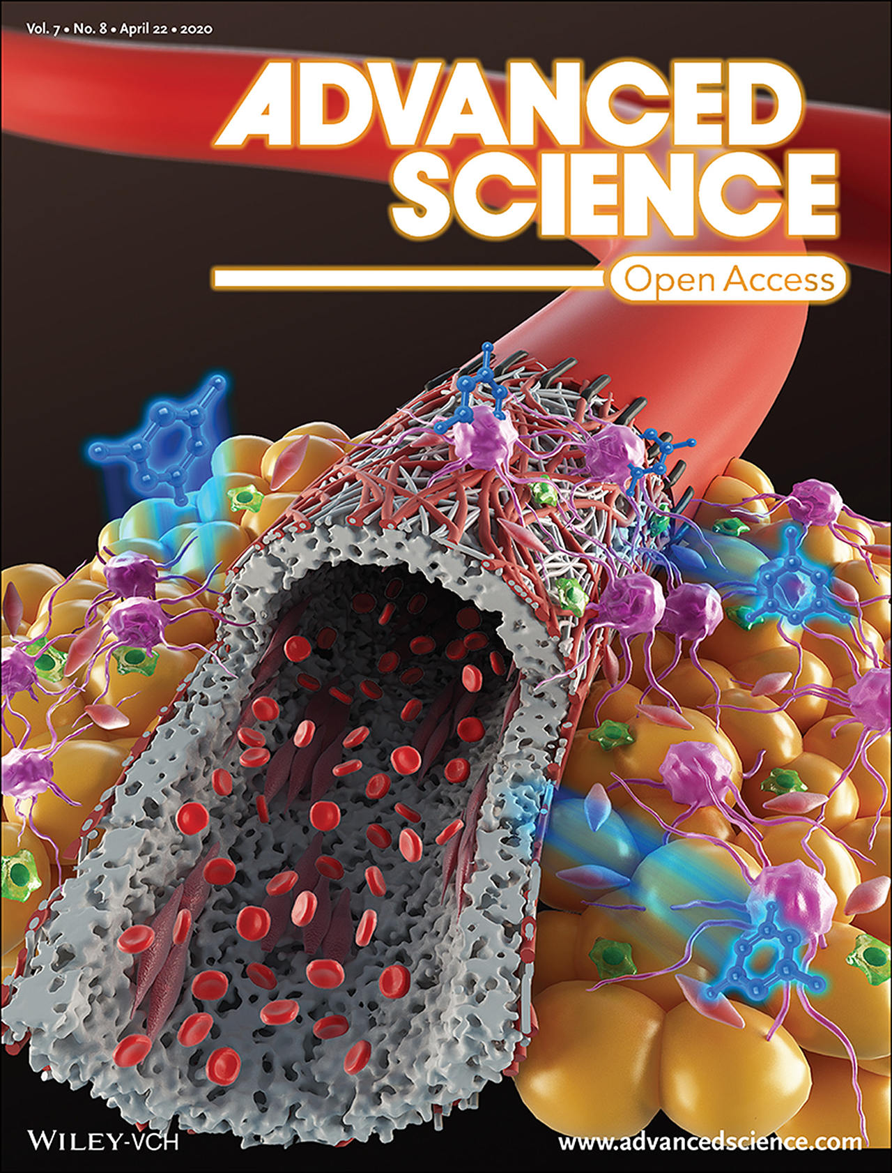 Advanced Science杂志封面汇总展示（图ZMzg0NTk4NzI0） - 人物/生物 - 站酷设计师邦图文化原创素材 - 站酷ZCOOL