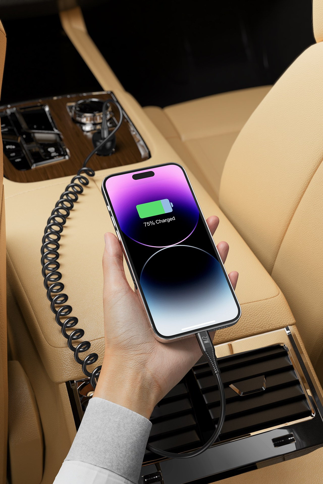 一年的项目作品