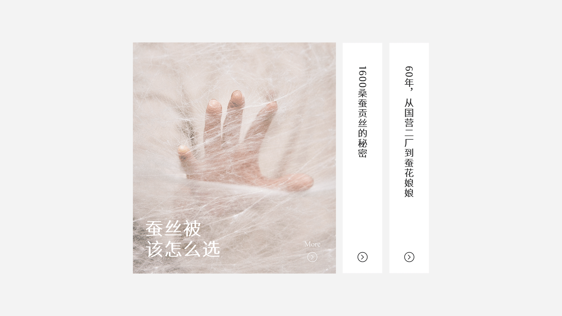 蚕花娘娘×松鼠跃动 | 品牌战略升级超级全案