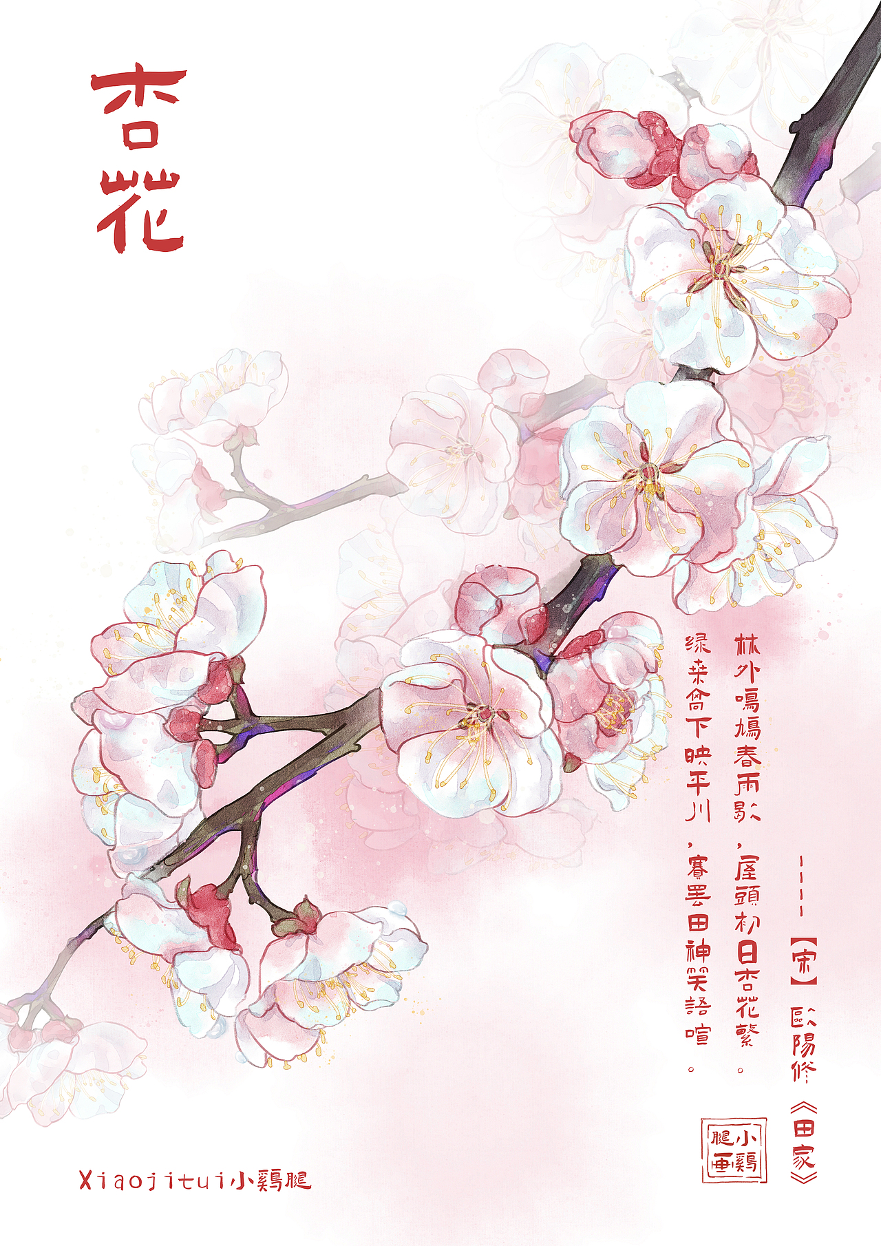 水彩 传统十二月花卉