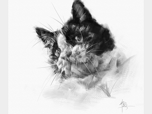 猫素描（个人主页-ZNzEzMDI5MDA=） - 绘画 - 站酷设计师cuin62原创素材 - 站酷ZCOOL