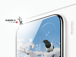 小米节气海报《小寒》