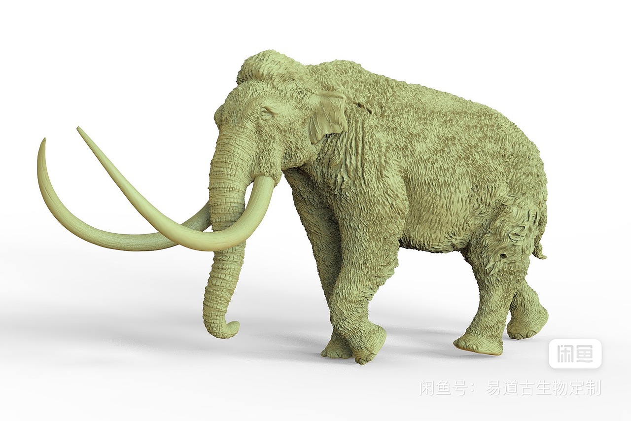 古象，（2501）草原猛犸象 v1.0，树脂白模，（图ZMzg0NjkxMzY0） - 手办/模玩 - 站酷设计师易道工作室原创素材 - 站酷ZCOOL