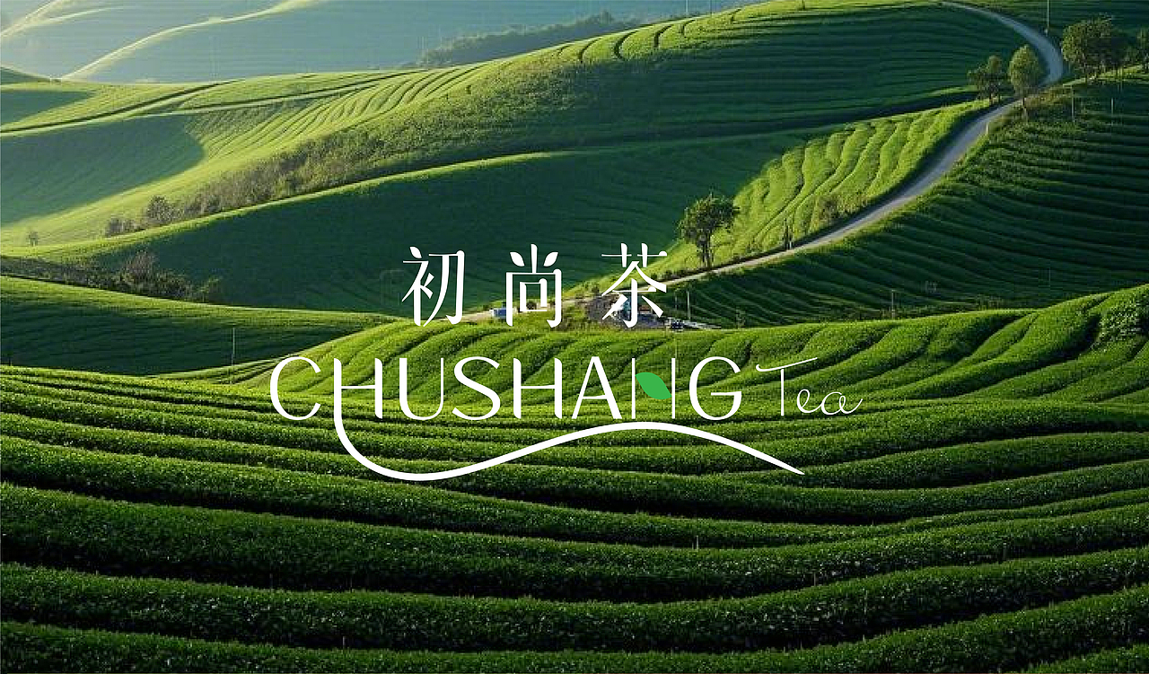 【初尚茶】品牌合集（图ZMzg0NzEwNzA4） - 品牌 - 站酷设计师千万品牌原创素材 - 站酷ZCOOL