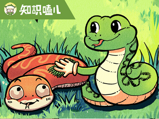 “超长蛇年”即将开启，你对蛇了解多少？
