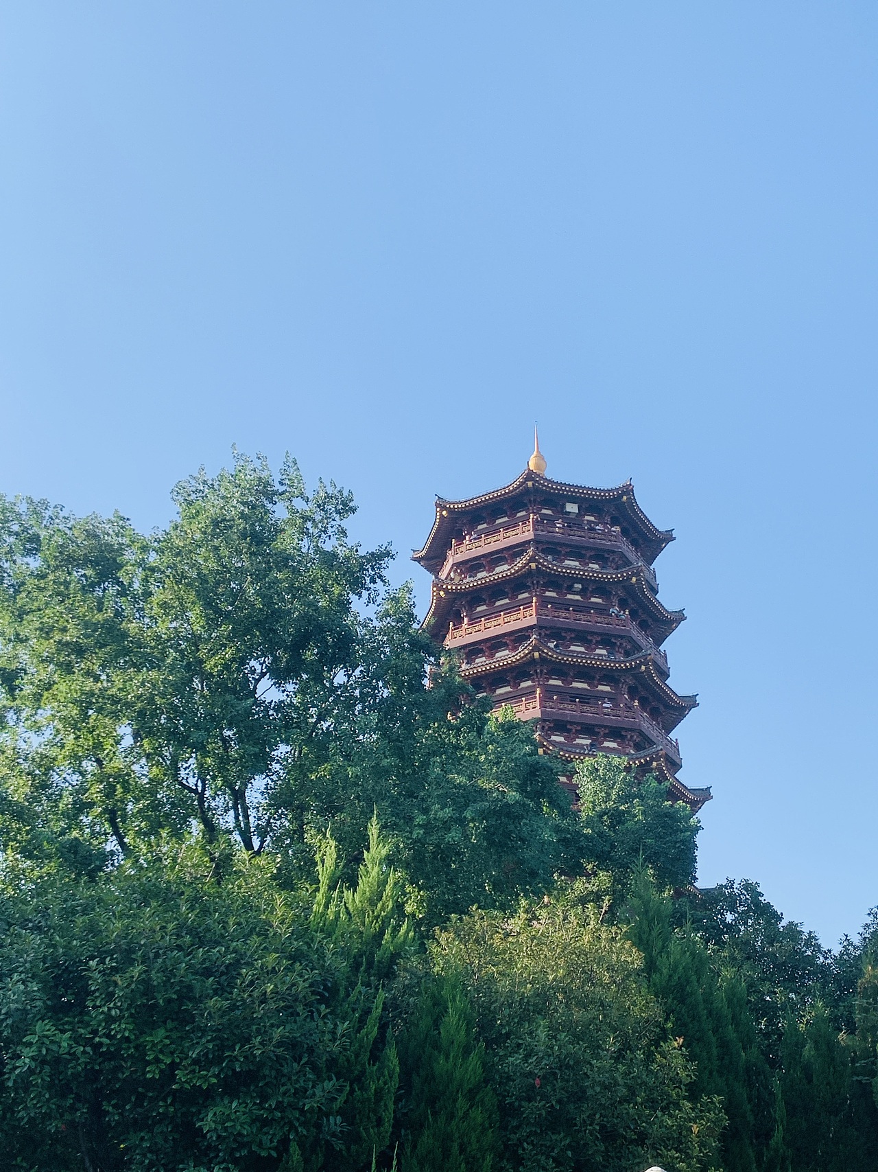 绿荫中的岘首亭