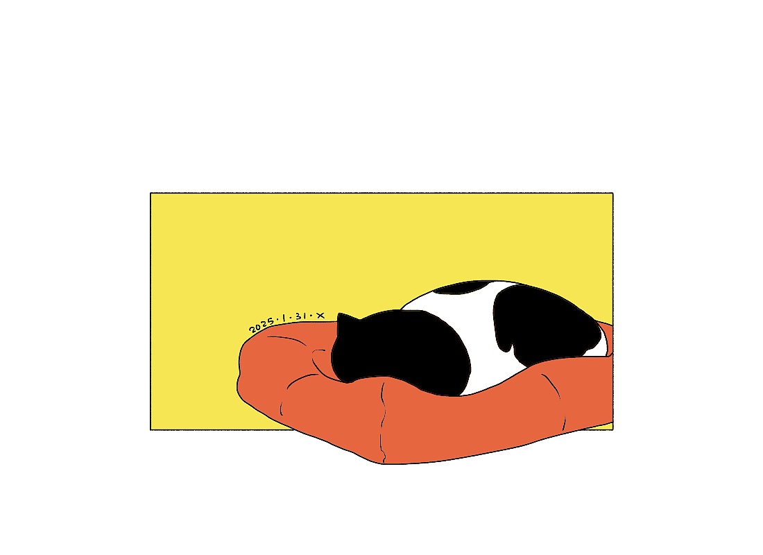 猫咪日常｜每天画一个小动态第23弹