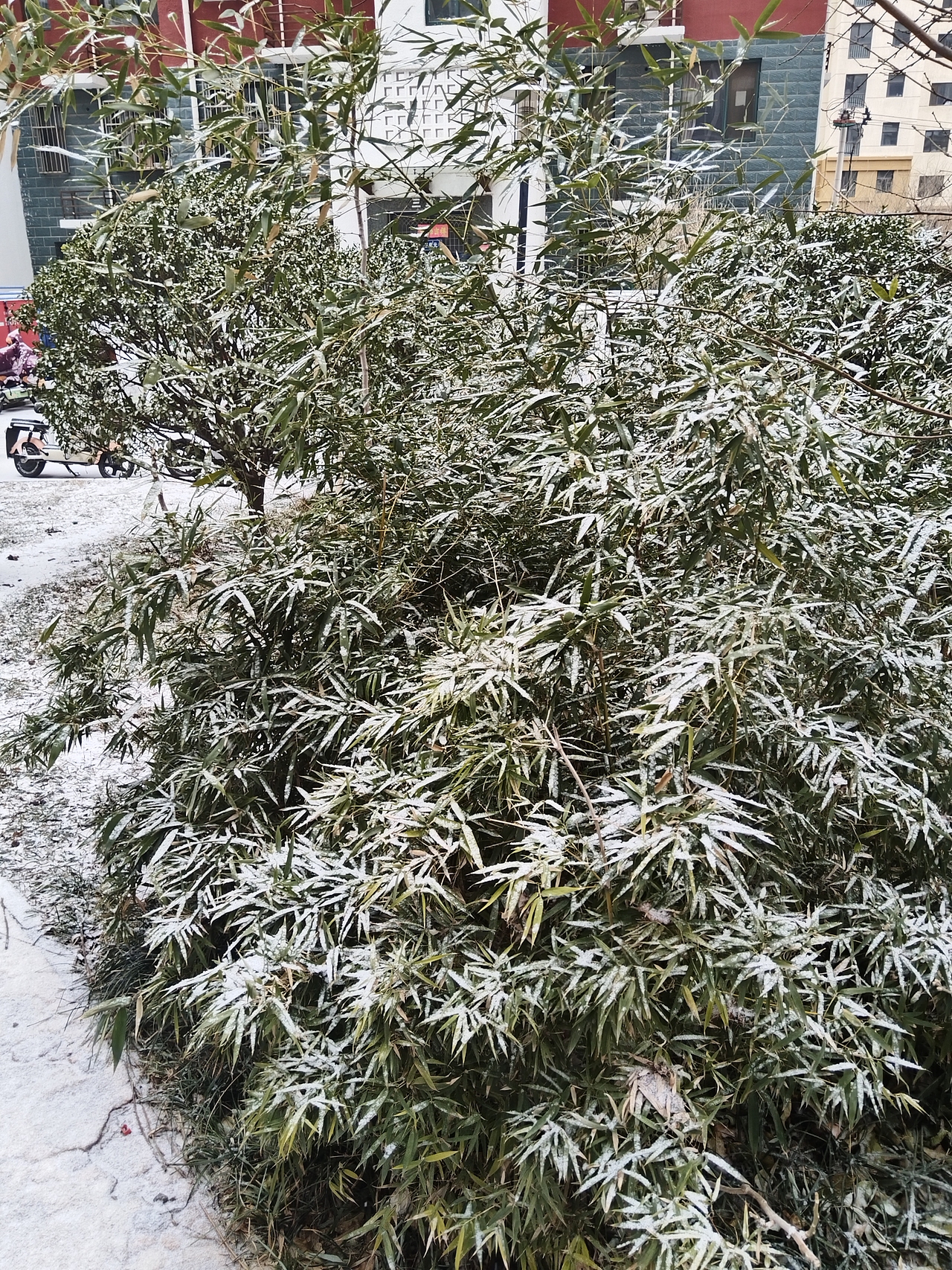 雪景（图ZMzg0NzQyNDIw） - 书籍/画册 - 站酷设计师普拉斯基原创素材 - 站酷ZCOOL