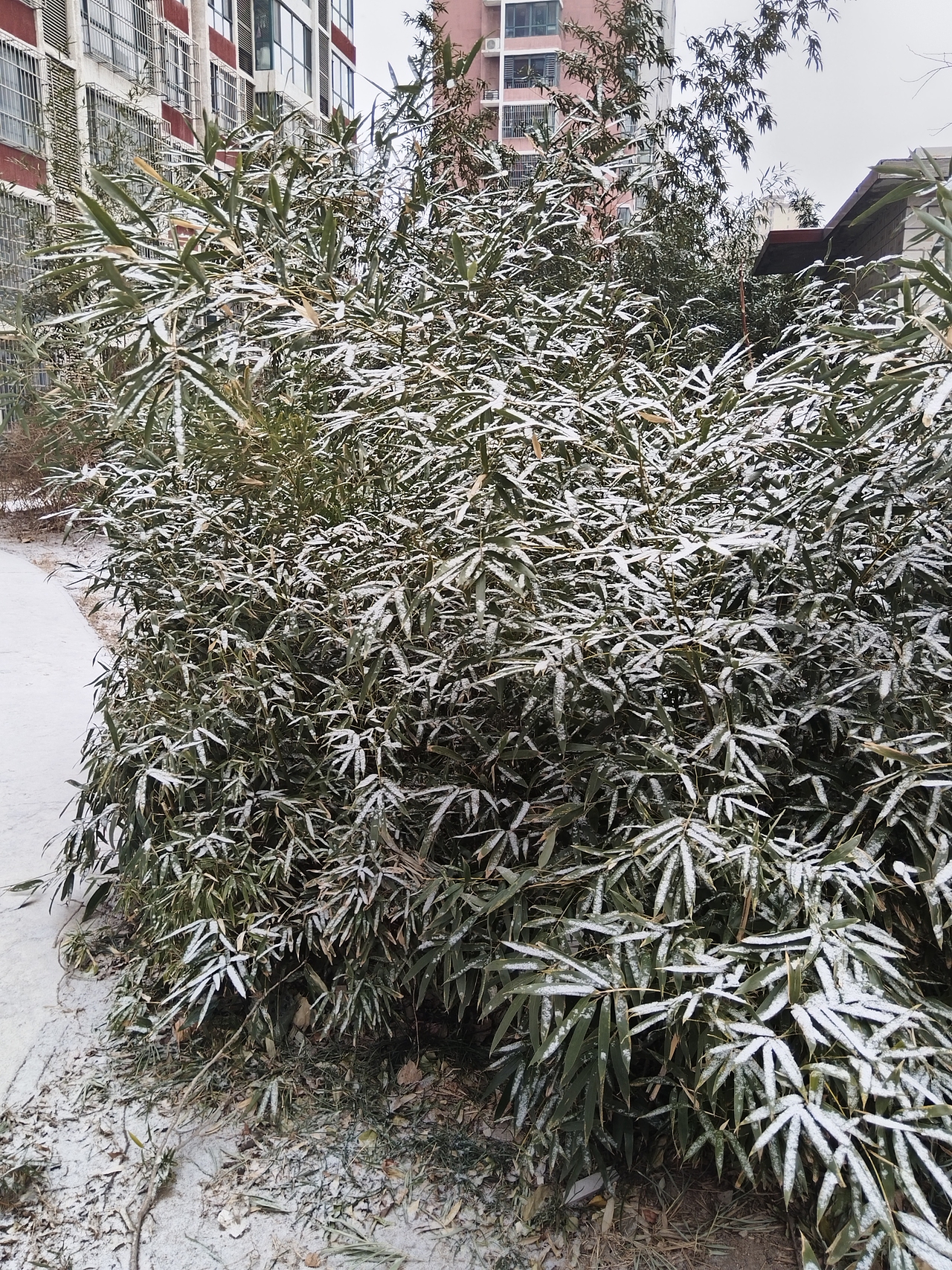 雪景（图ZMzg0NzQyNDI0） - 书籍/画册 - 站酷设计师普拉斯基原创素材 - 站酷ZCOOL