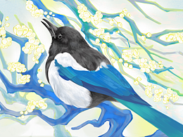 喜鹊与枝条*插画