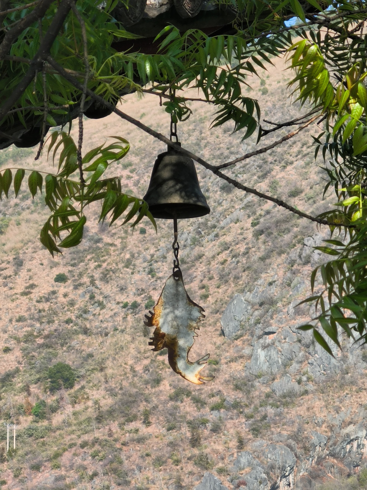 2024年旅途中拍摄