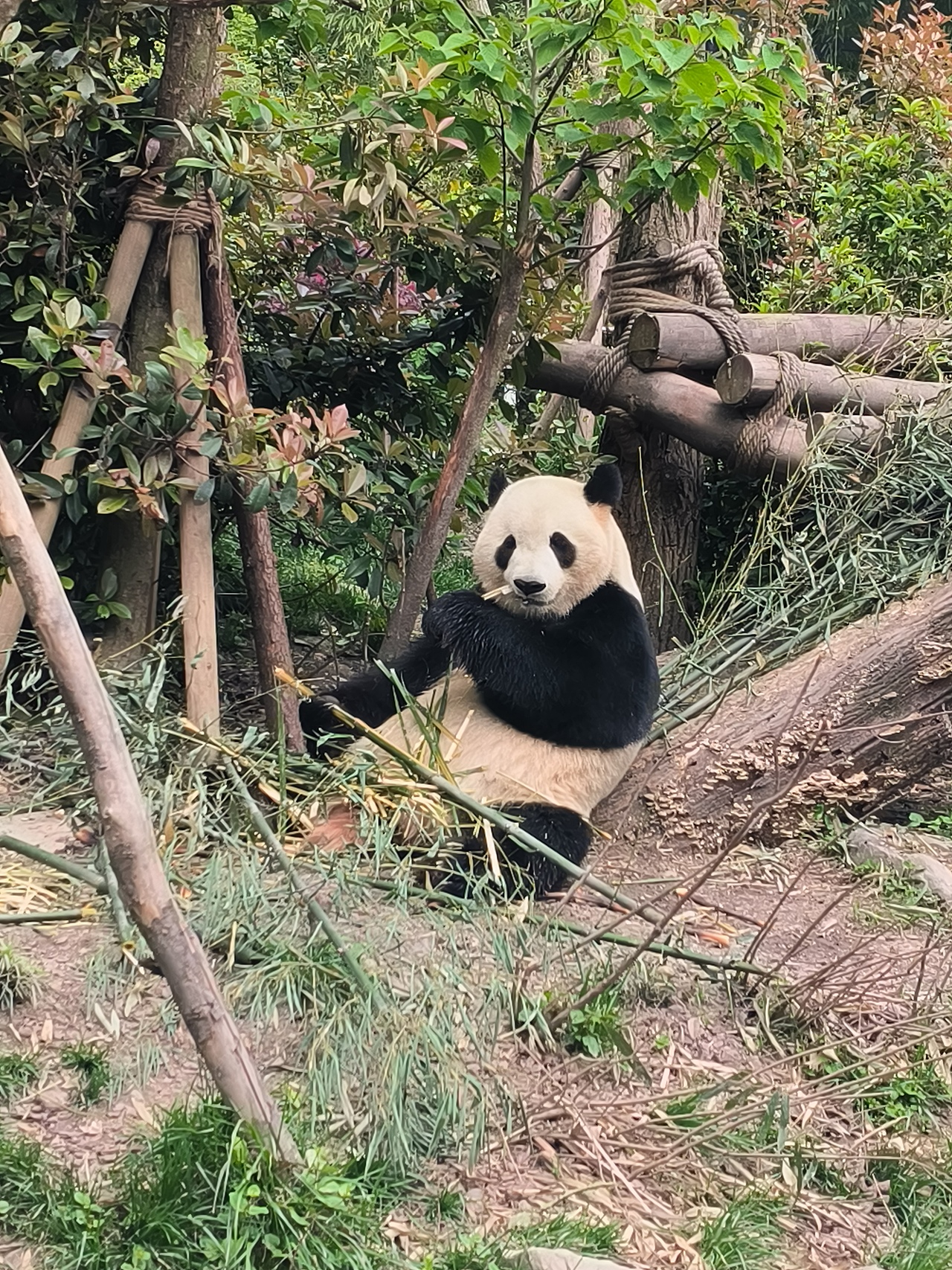 2024年旅途中拍摄