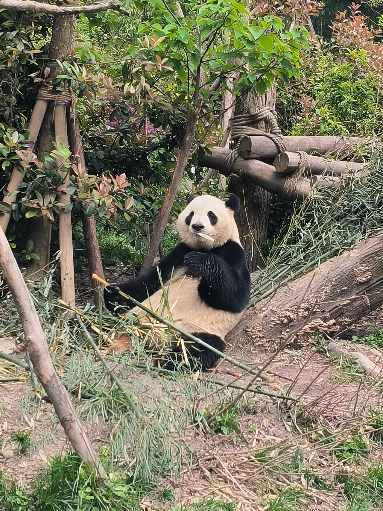 2024年旅途中拍摄