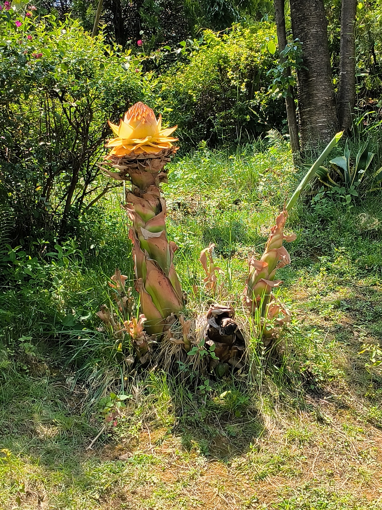 2024年旅途中拍摄