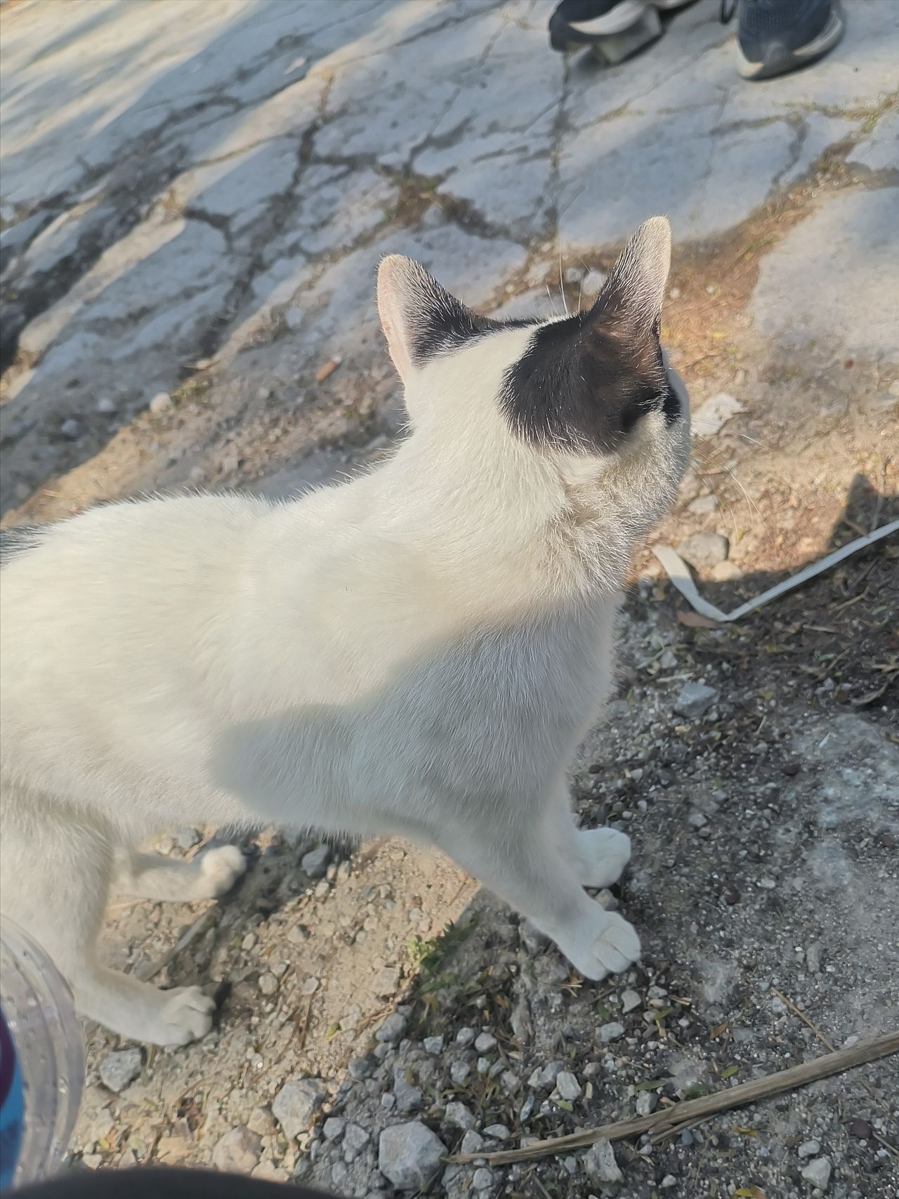 2024年旅途中拍摄