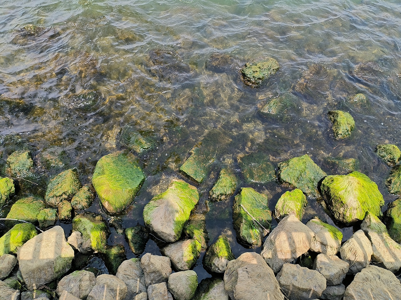 2024年旅途中拍摄