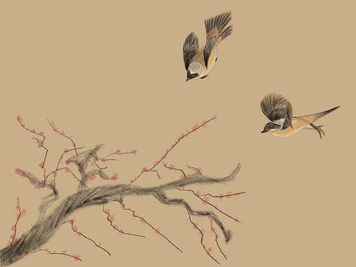 梅韻鳥鳴（個(gè)人主頁(yè)-ZNzEzMTU2NTI=） - 創(chuàng)作習(xí)作 - 站酷設(shè)計(jì)師LEAN樂安原創(chuàng)素材 - 站酷ZCOOL