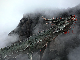 个人作品集2024-2025