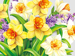 原創(chuàng)手繪插畫圖案/花卉立體賀卡/水仙花賀卡設(shè)計(jì)