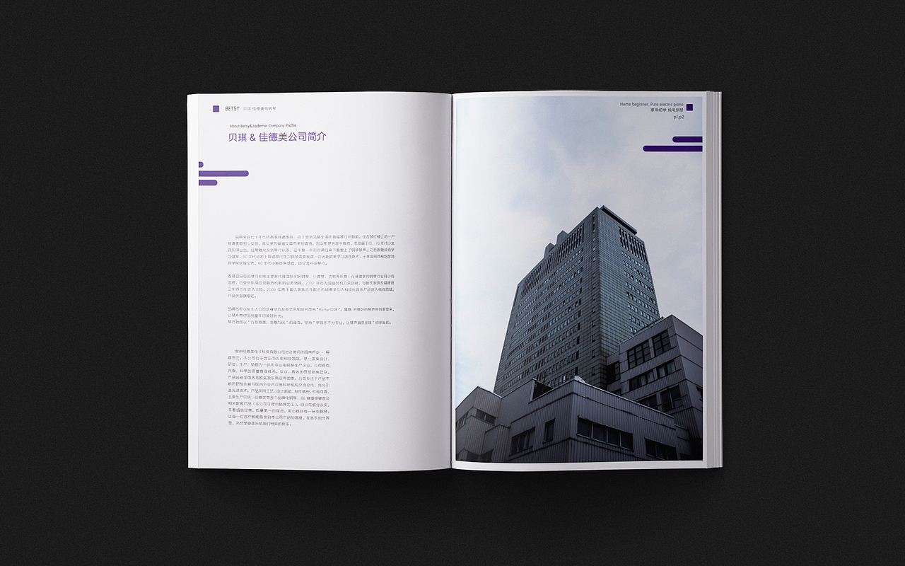 画册作品｜触觉史诗，翻阅一座纸上建筑（图ZMzg0Nzk4NDg4） - 书籍/画册 - 站酷设计师吴斌猛原创素材 - 站酷ZCOOL