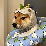 我是杨的头像