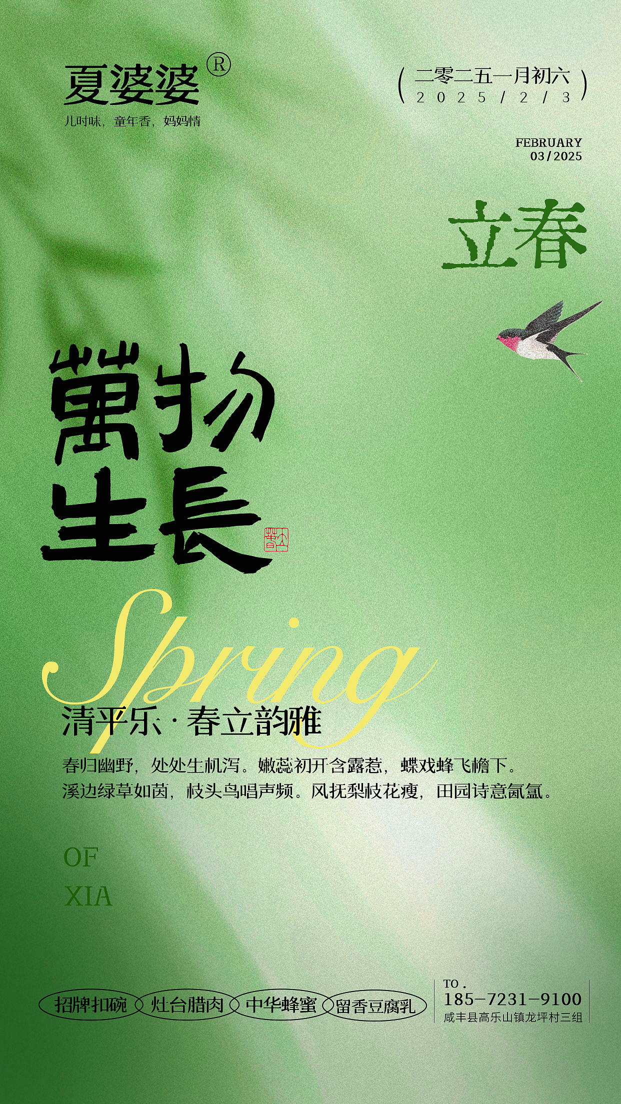 夏婆婆立春海报