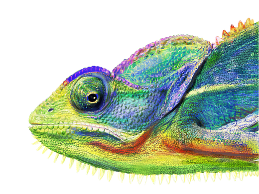 厚涂插画练习-变色龙局部