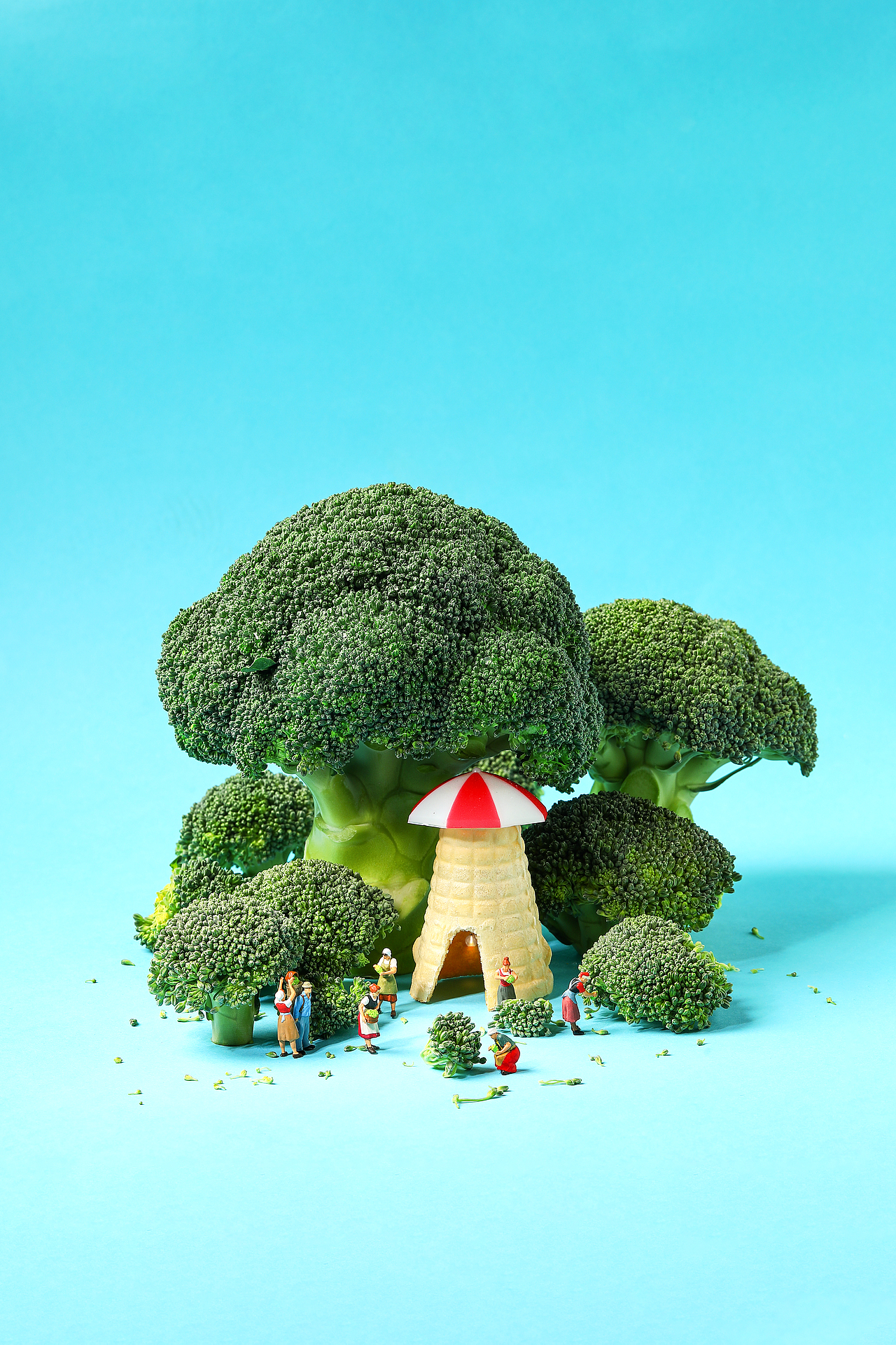 微型摄影艺术X美食摄影X创意摄影X静物摄影