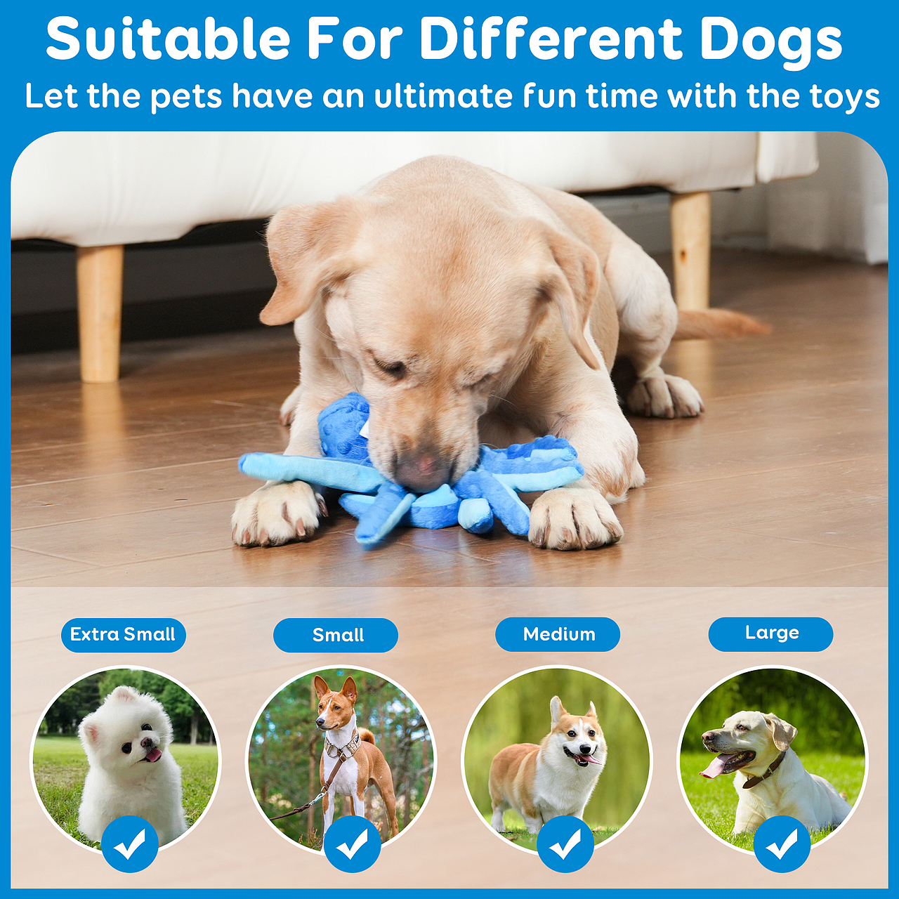 亚马逊宠物玩具详情设计主图排版产品摄影视频制作页面