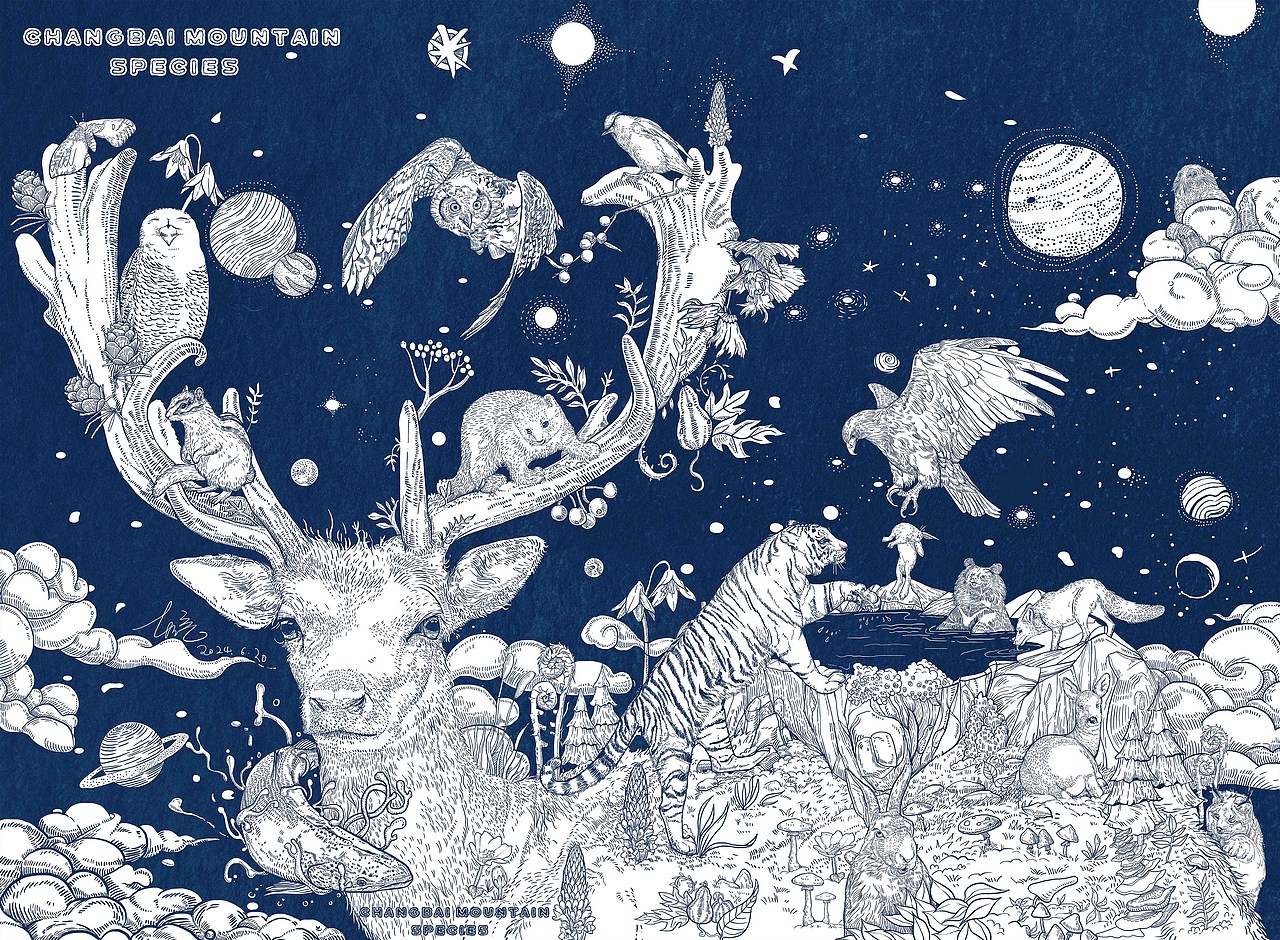 2024年度《动物插画》单色物种插画