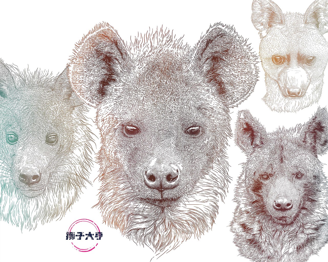 2024年度《动物插画》单色物种插画