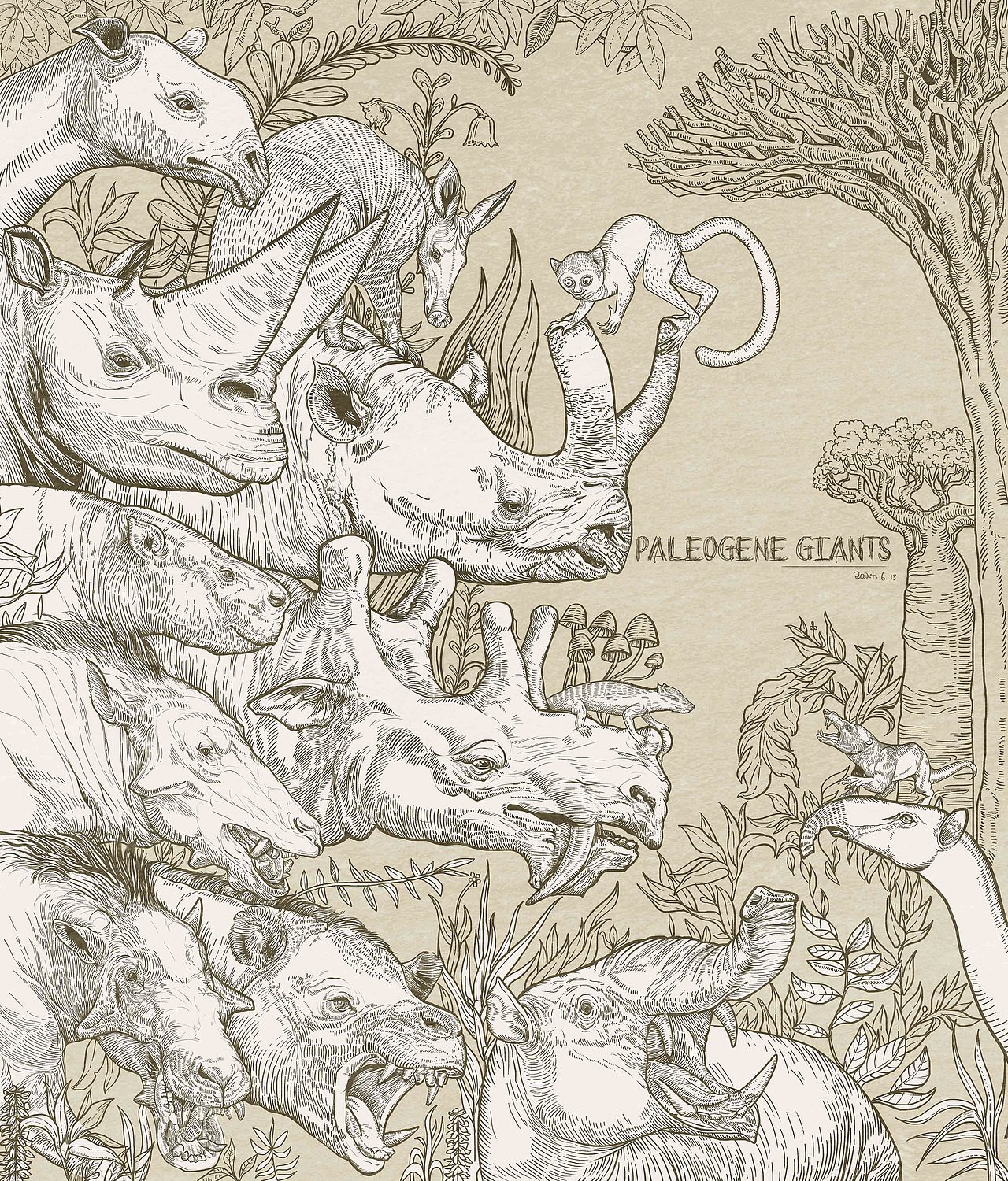 2024年度《动物插画》单色物种插画