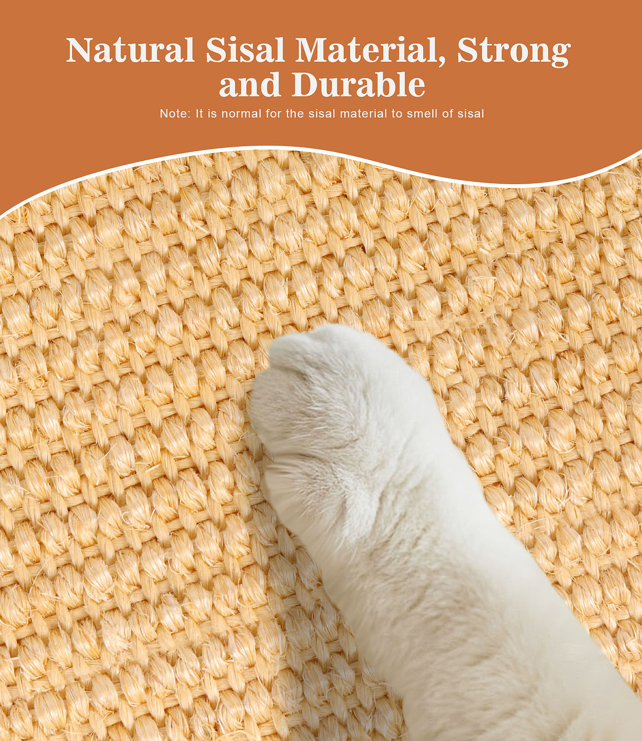 亚马逊主图设计合集-3（图ZMzg0ODczNTE2） - 其他平面 - 站酷设计师Healeryo平凡着原创素材 - 站酷ZCOOL