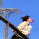 野生花品牌设计