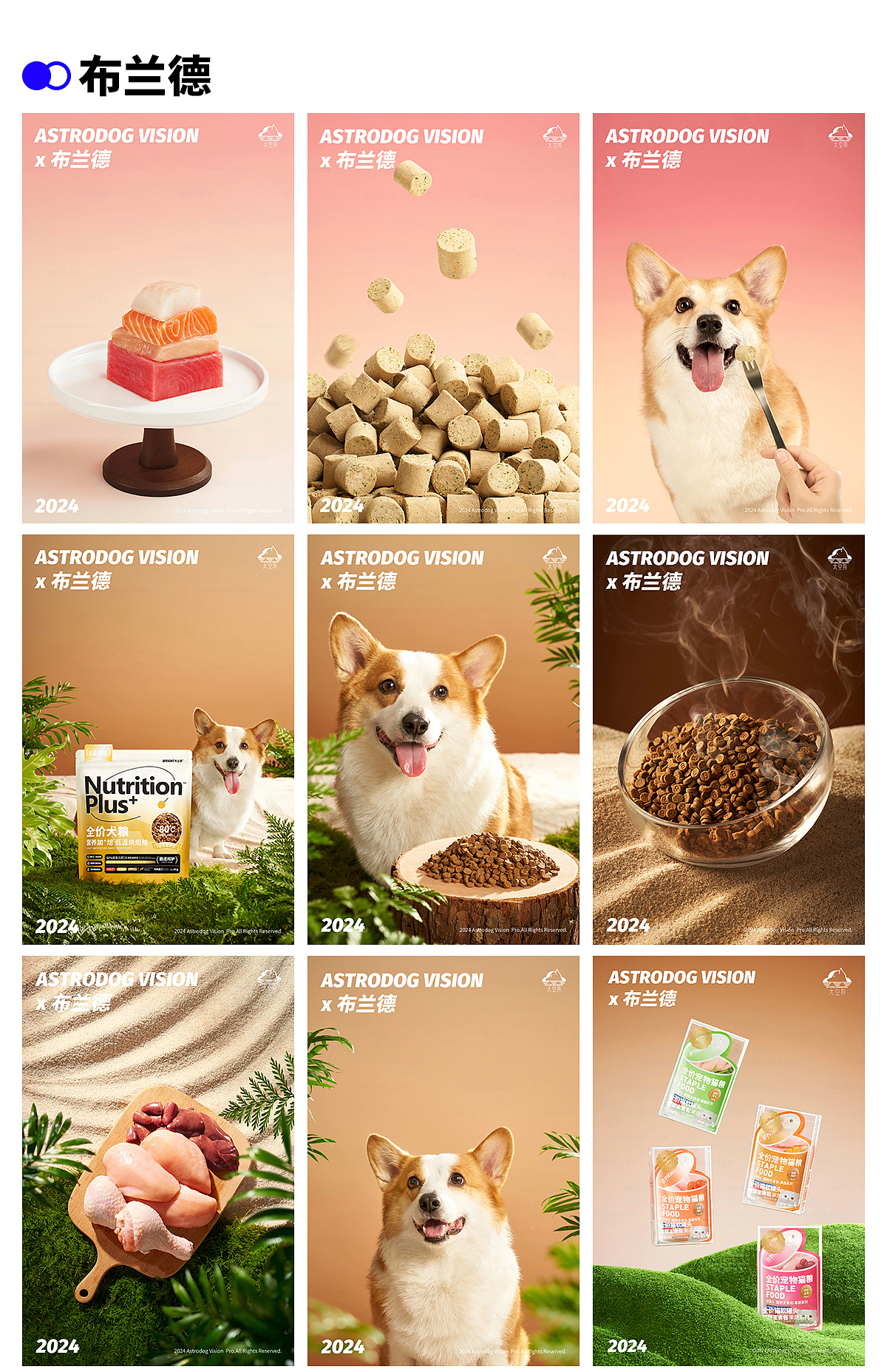 2024宠物商业摄影案例合集·宠物食品·宠物用品拍摄
