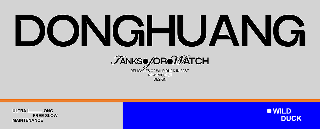 东黄山野鸭×星光Vivian｜东黄山野鸭包装设计（图ZMzg0OTAyNDcy） - 包装 - 站酷设计师星光Vivian原创素材 - 站酷ZCOOL