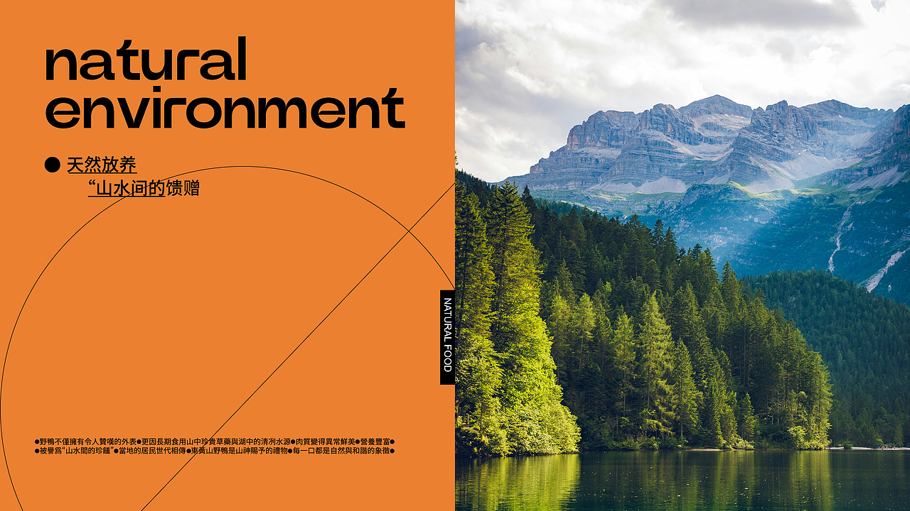 东黄山野鸭×星光Vivian｜东黄山野鸭包装设计（图ZMzg0OTAyNTMy） - 包装 - 站酷设计师星光Vivian原创素材 - 站酷ZCOOL