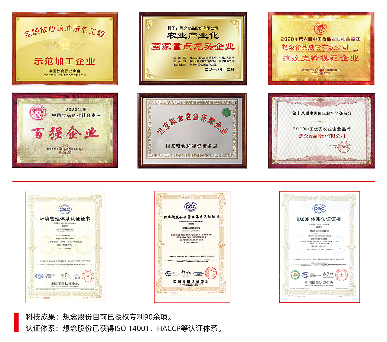 河南南阳丨面条品牌策划（图ZMzg0OTE0MDA4） - 包装 - 站酷设计师元品品牌设计公司原创素材 - 站酷ZCOOL