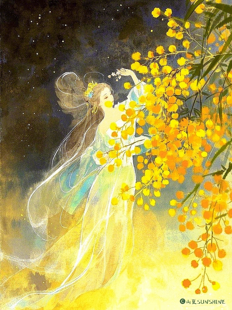 百花系|珍珠簇拥金绒绽,耀眼黄花溢淡香