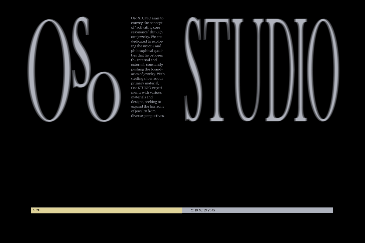 OSo STUDIO 饰品品牌设计