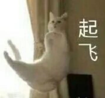 2024 双十一摄影项目管理实战：我的成长蜕变与经验沉淀（图ZMTUwMjM5Mjg=） - 观点 - 站酷设计师王任性WRX原创素材 - 站酷ZCOOL