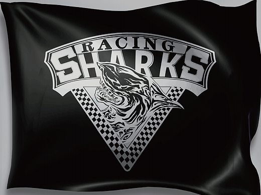 LOGO | 内蒙古大白鲨摩托俱乐部标志设计