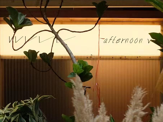 AfternoonV面包店品牌设计