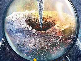 《一本正经》概念海报